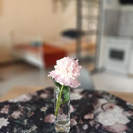 Apartamento La La Loft *